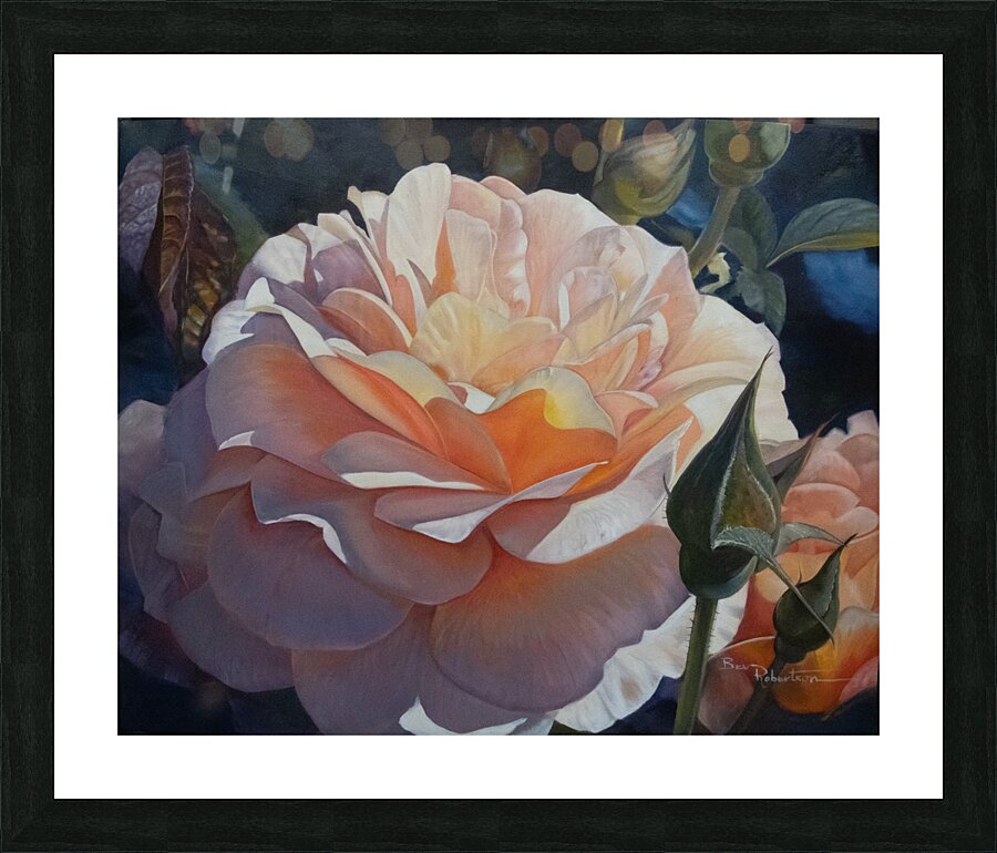 Peach Rose Picture Frame Printing