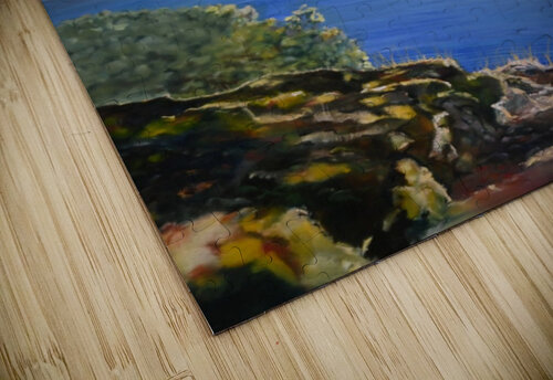Sansum narrows Bev Robertson Art puzzle