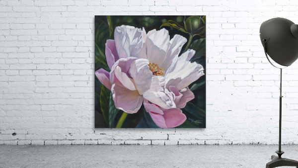  Single Pink peony Wall Preview