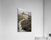  DSC9166   20x30 Acrylic Print