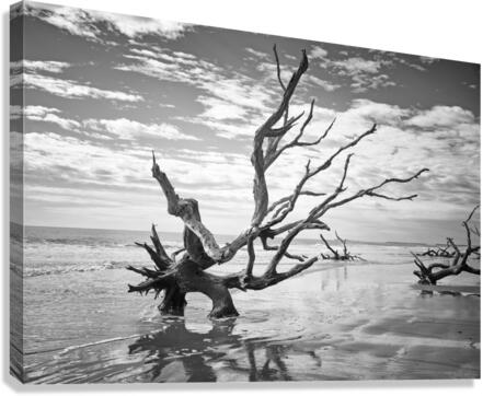 Please Save Me  18x26 Canvas Print