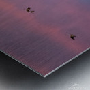 DSC 2671 edit cropped noise reduced healed 16x24. Metal print