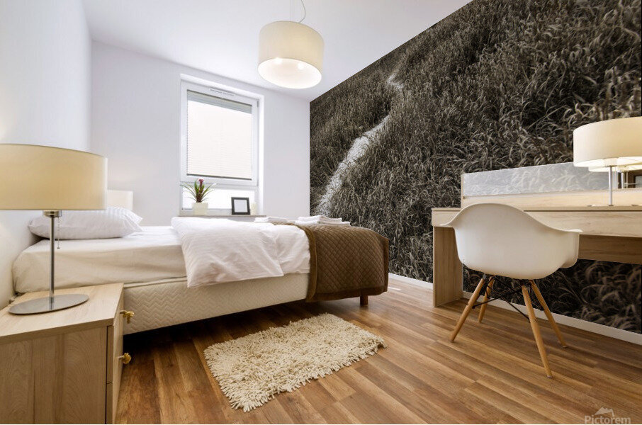  DSC9166   20x30 Mural print