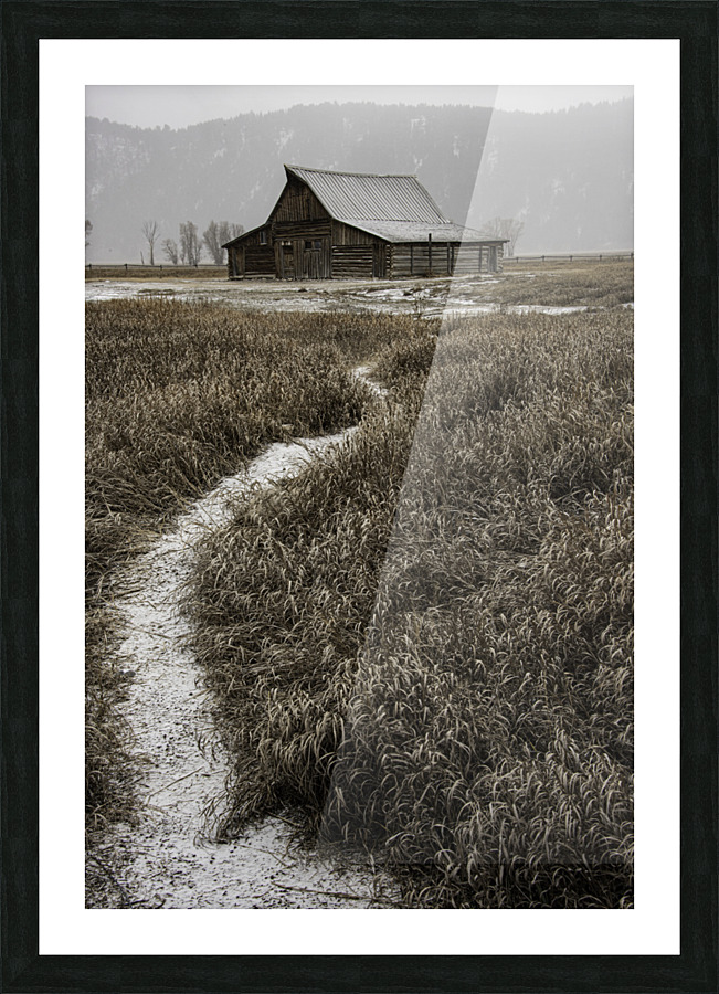  DSC9166   20x30 Picture Frame print