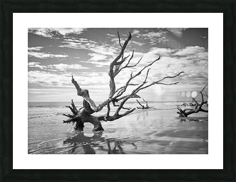 Please Save Me  18x26 Picture Frame print