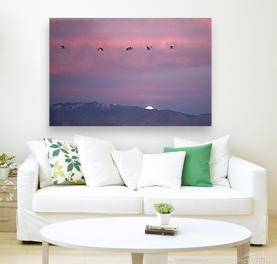 DSC 2671 edit cropped noise reduced healed 16x24. Reproduction