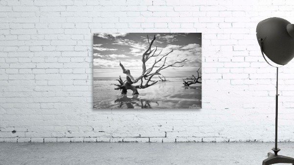 Please Save Me  18x26 Wall Preview
