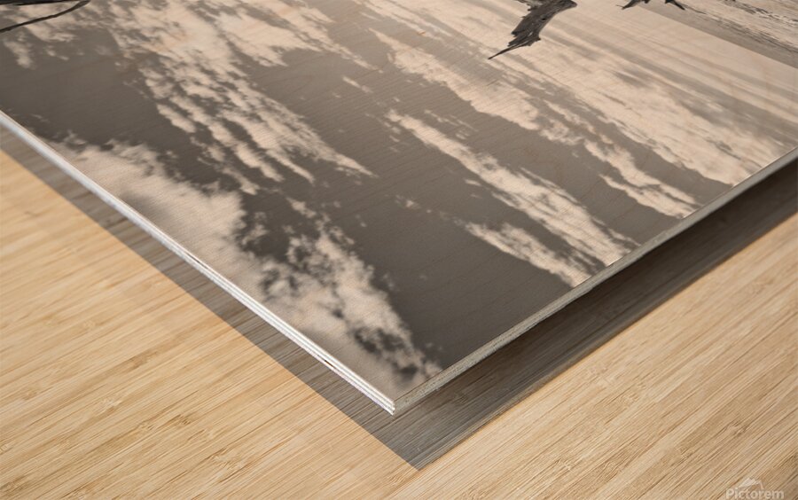 Please Save Me  18x26 Wood print