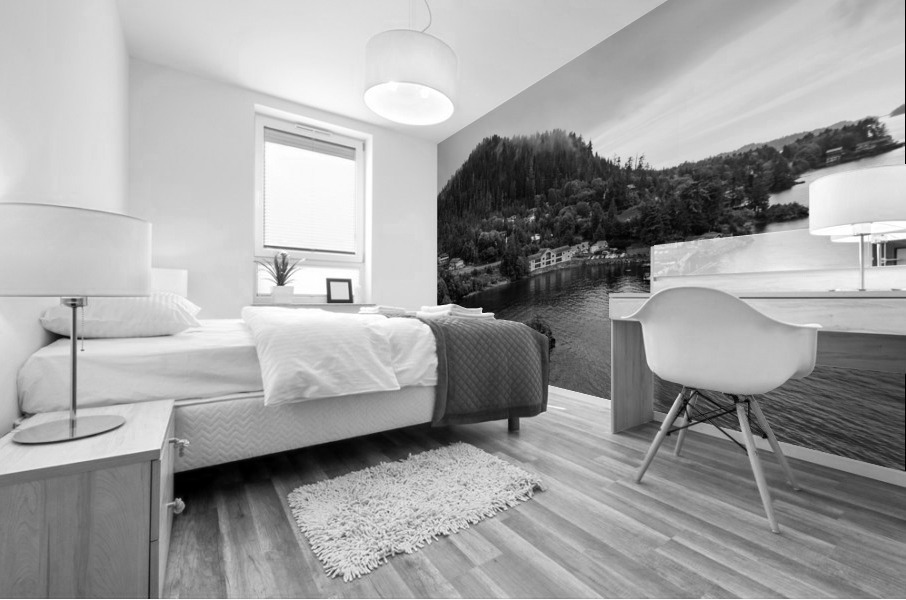 Sitka Bay Monochrome Mural print