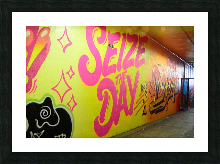 Seize the Day Picture Frame print