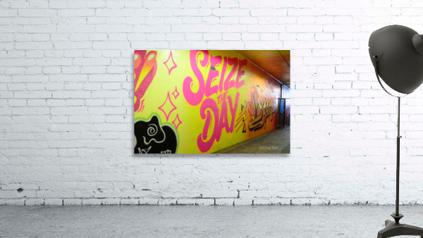 Seize the Day Wall Preview