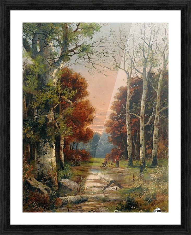 A forest from Austria Picture Frame print