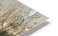 A forest from Austria HD Metal print