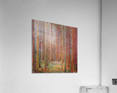 Tannenwald I Acrylic Print