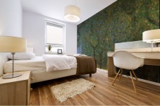 Fruit Trees Mural print