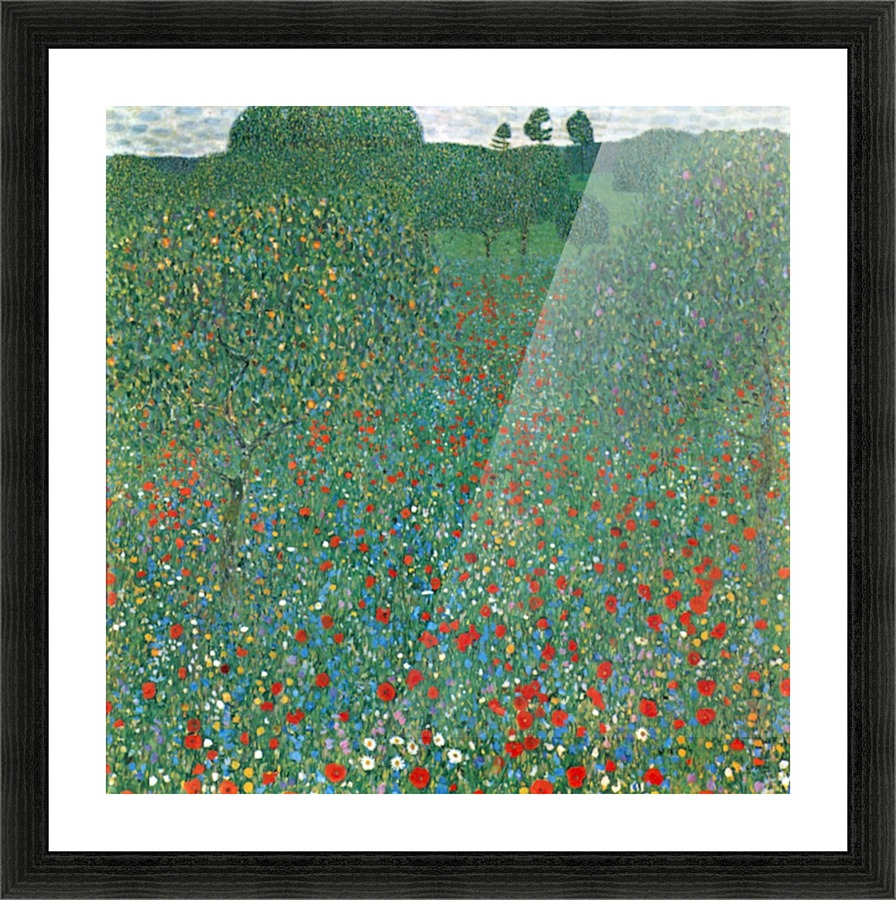 Poppy Field Picture Frame print