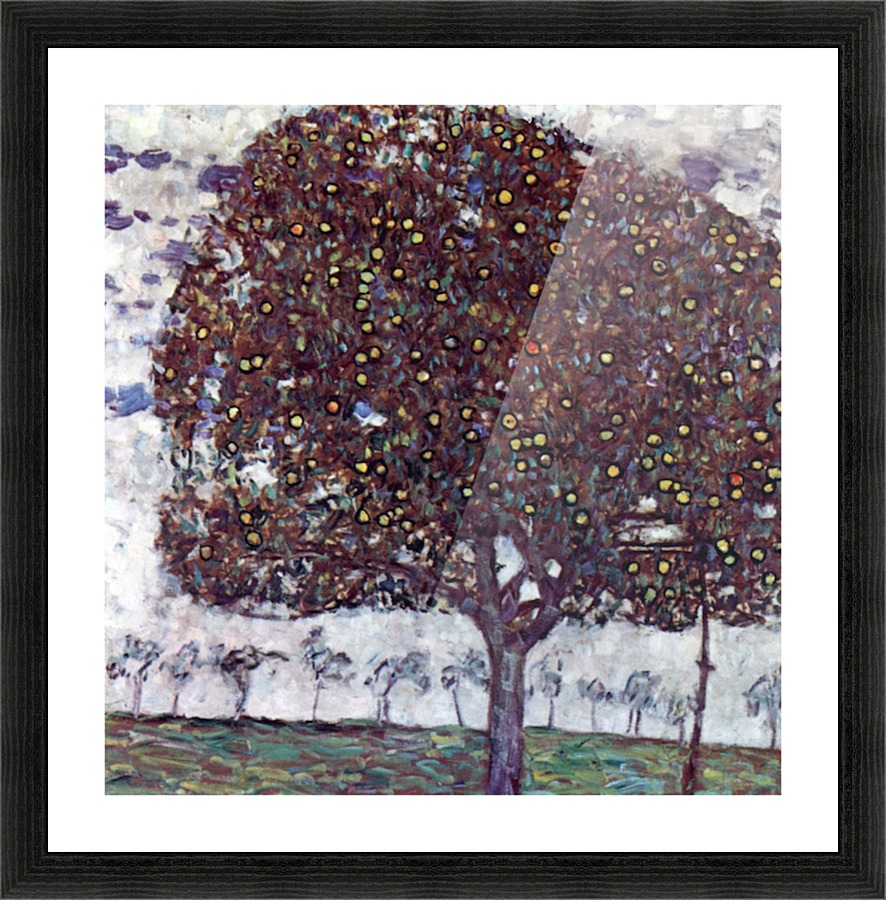 The Apple Tree Picture Frame print