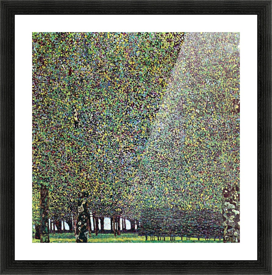 The Park Picture Frame print