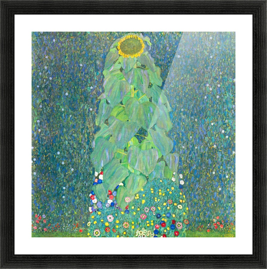 The Sunflower Picture Frame print