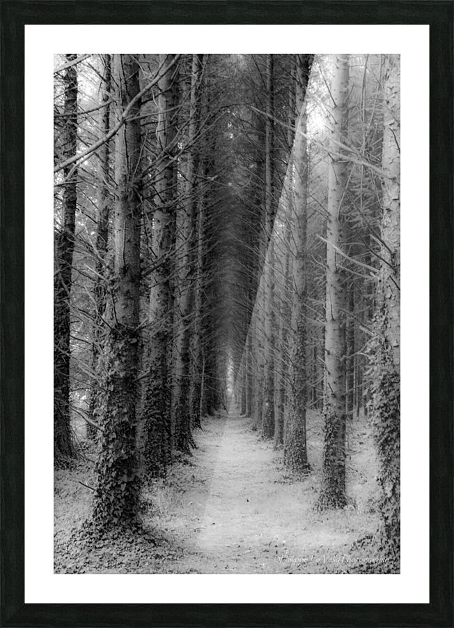 foret Picture Frame print