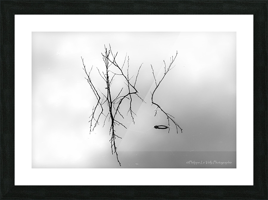  reflet d automne Picture Frame print