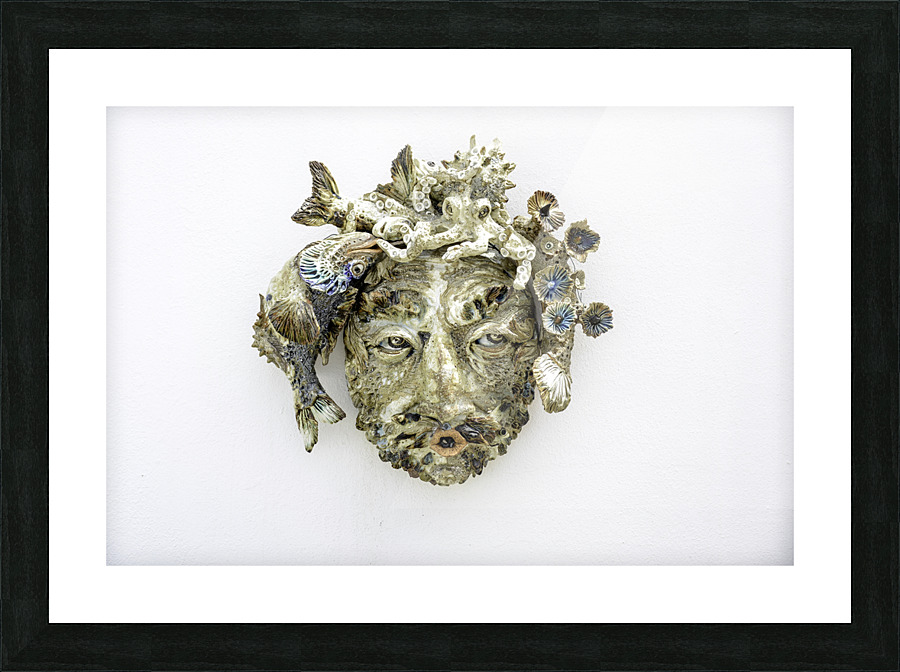 visage des abyss Picture Frame print