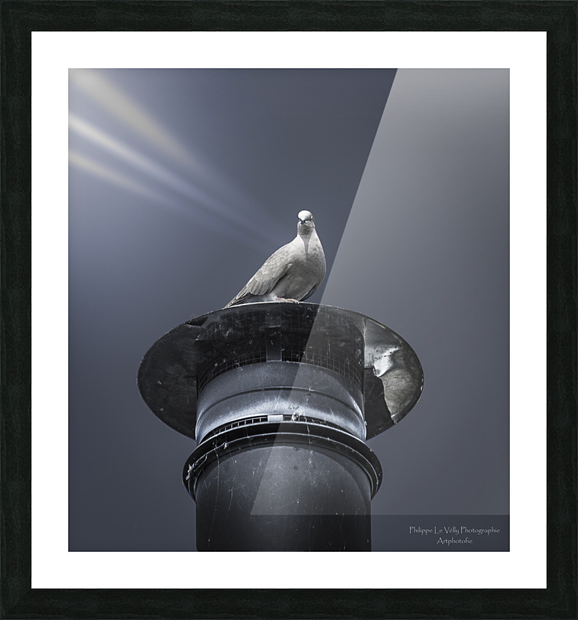  mise en lumiere Picture Frame print