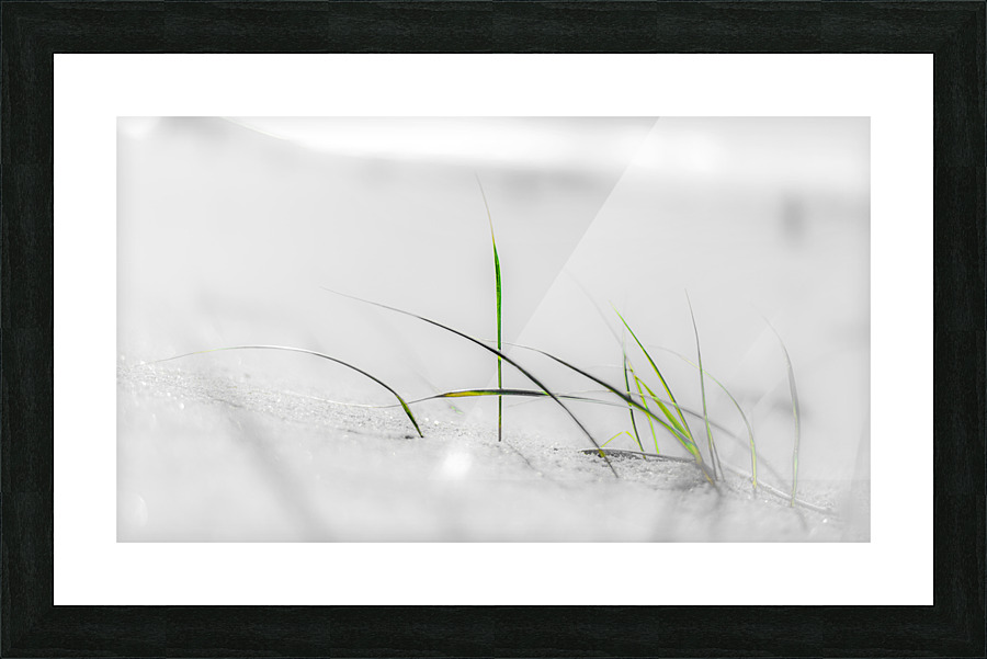 u commencement Picture Frame print