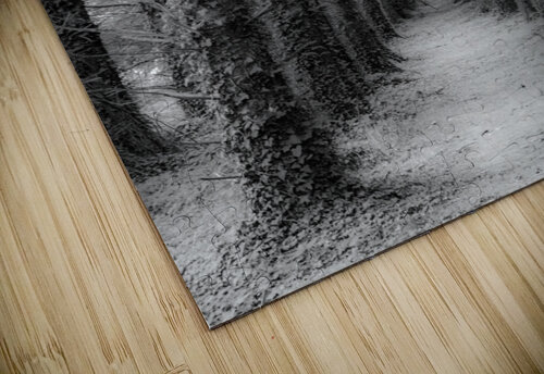foret Philippe Le Velly puzzle