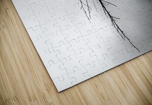  reflet d automne Philippe Le Velly puzzle