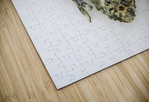 visage des abyss Philippe Le Velly puzzle