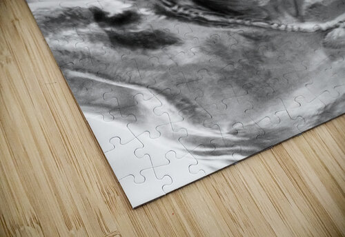 Esclavage Philippe Le Velly puzzle