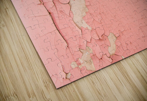 ecorse murale Philippe Le Velly puzzle
