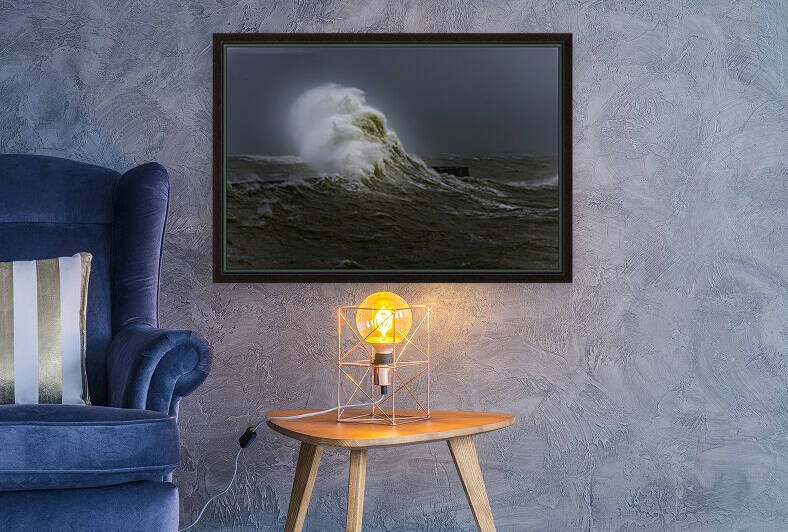  sea Reproduction