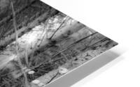 foret HD Metal print