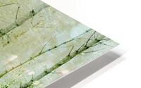 nature HD Metal print