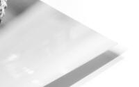 Esclavage HD Metal print