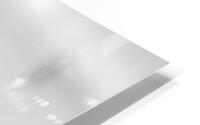 u commencement HD Metal print