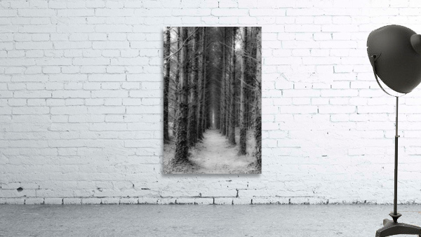foret Wall Preview