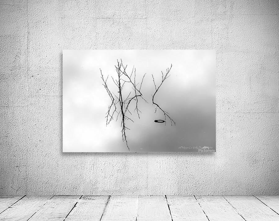  reflet d automne Wall Preview