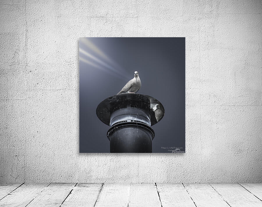  mise en lumiere Wall Preview
