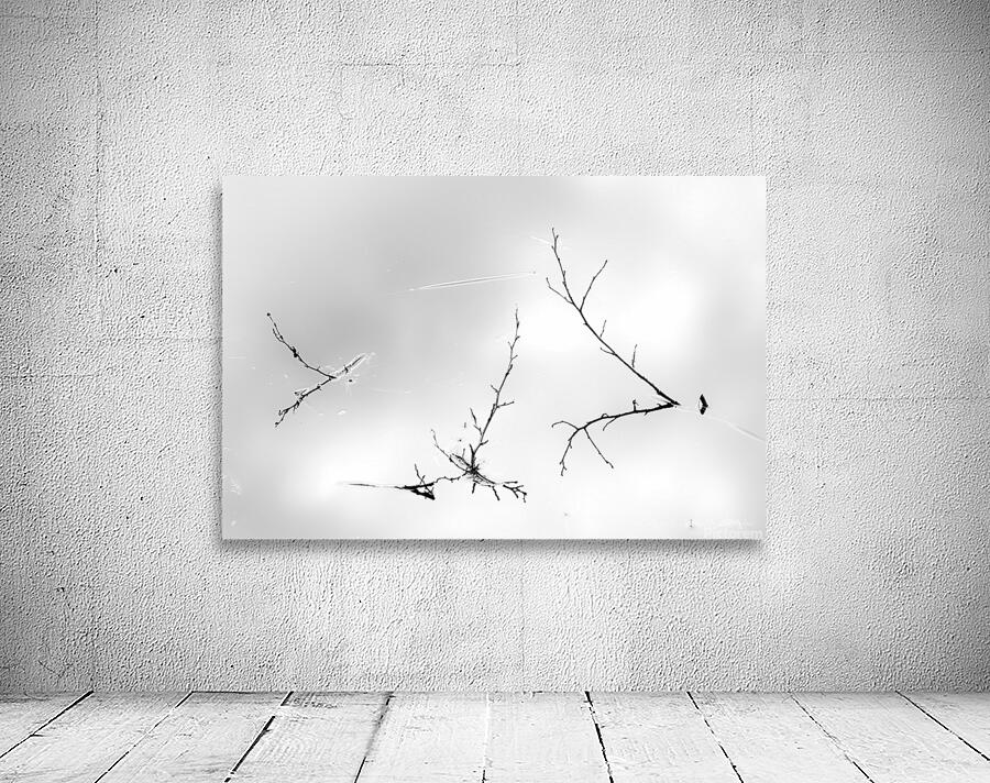 miroir Wall Preview