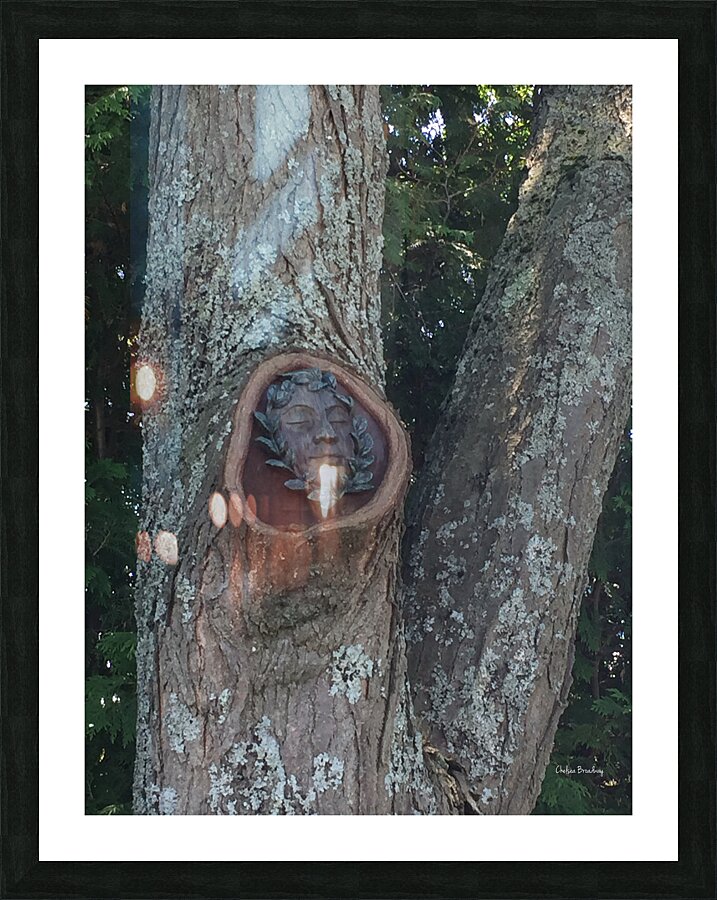 Trees Picture Frame print