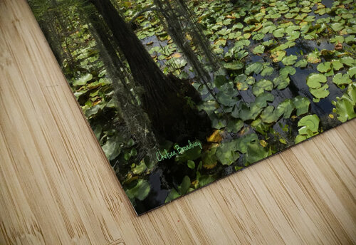 Swamp Chelsea Broadway puzzle