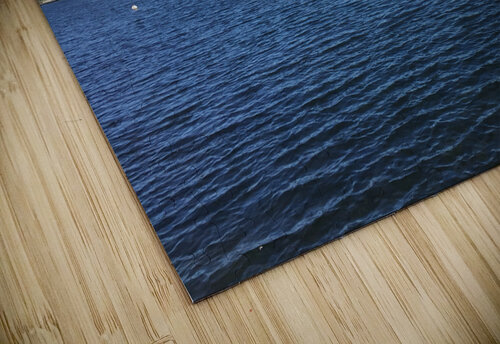 Lake Ontario Chelsea Broadway puzzle