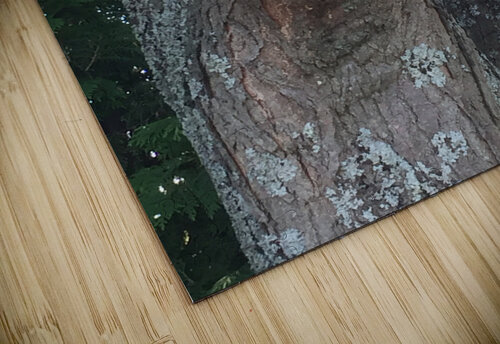 Trees Chelsea Broadway puzzle