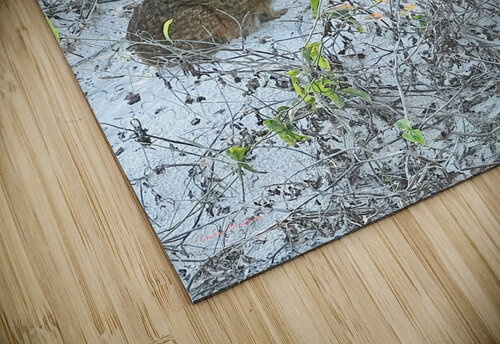 Amelia Island Chelsea Broadway puzzle