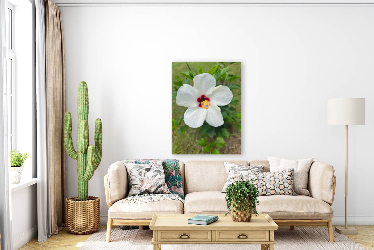 Hibiscus Flower Reproduction