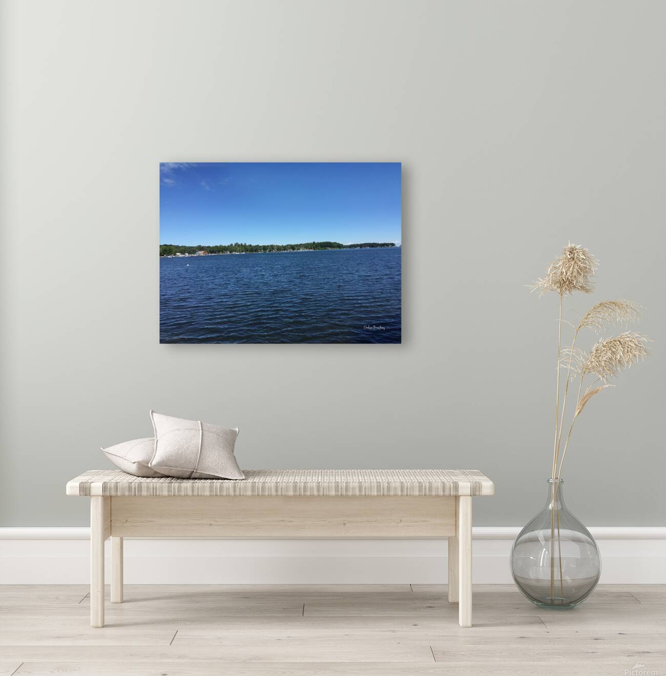 Lake Ontario Reproduction