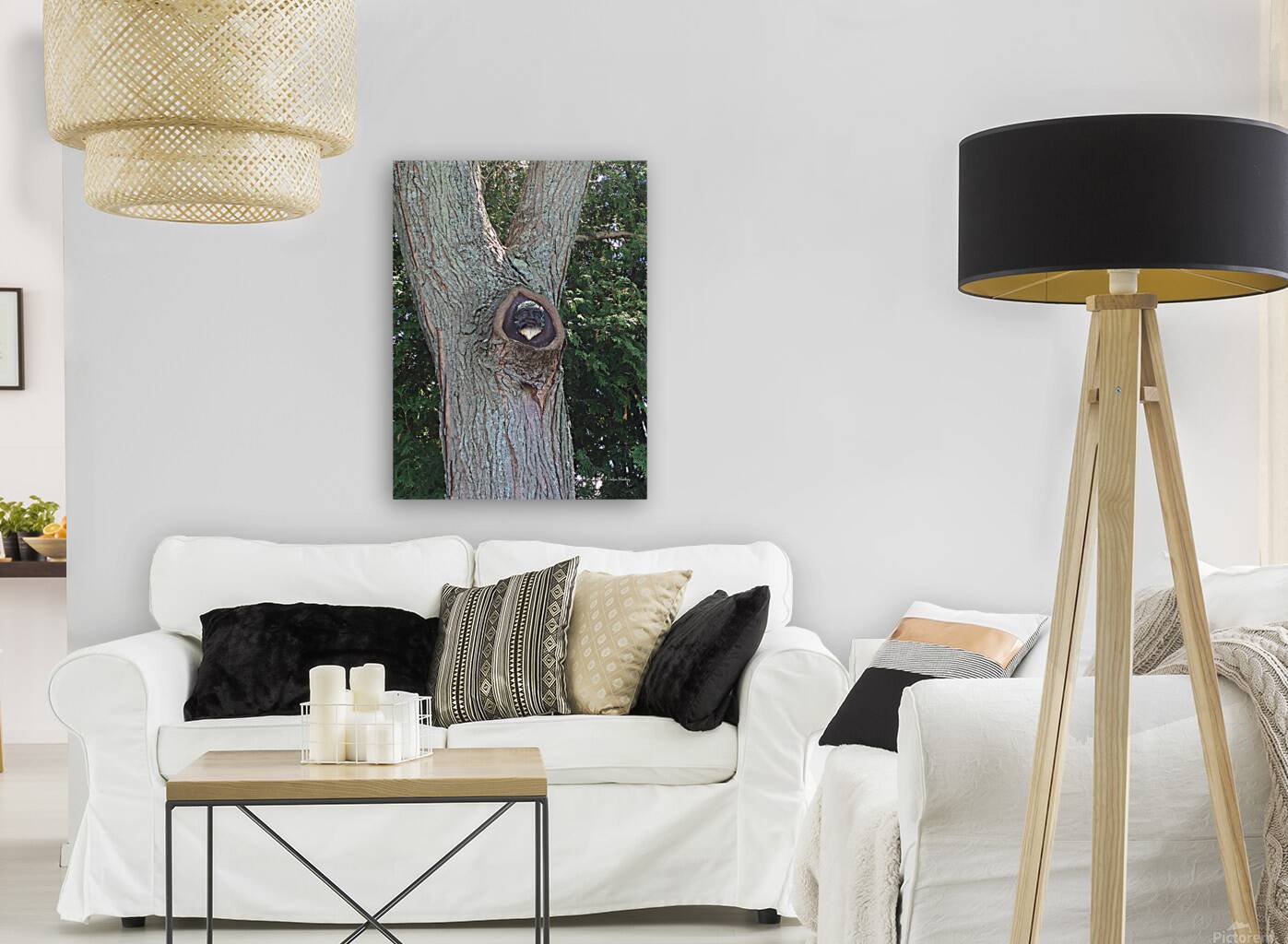 Trees Reproduction